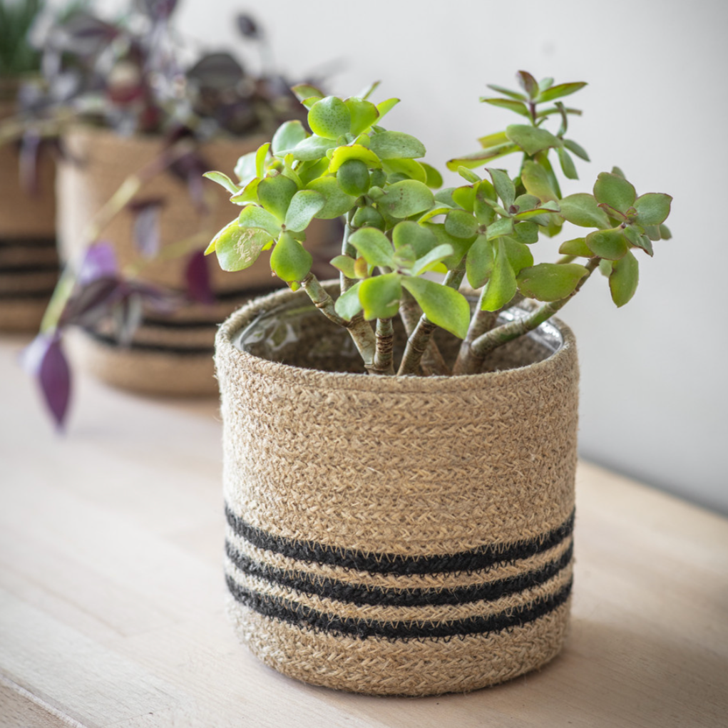 Jute Striped Pot