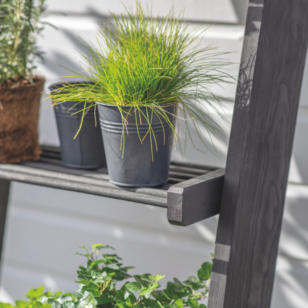 Moreton Wooden Slatted Shelf Ladder