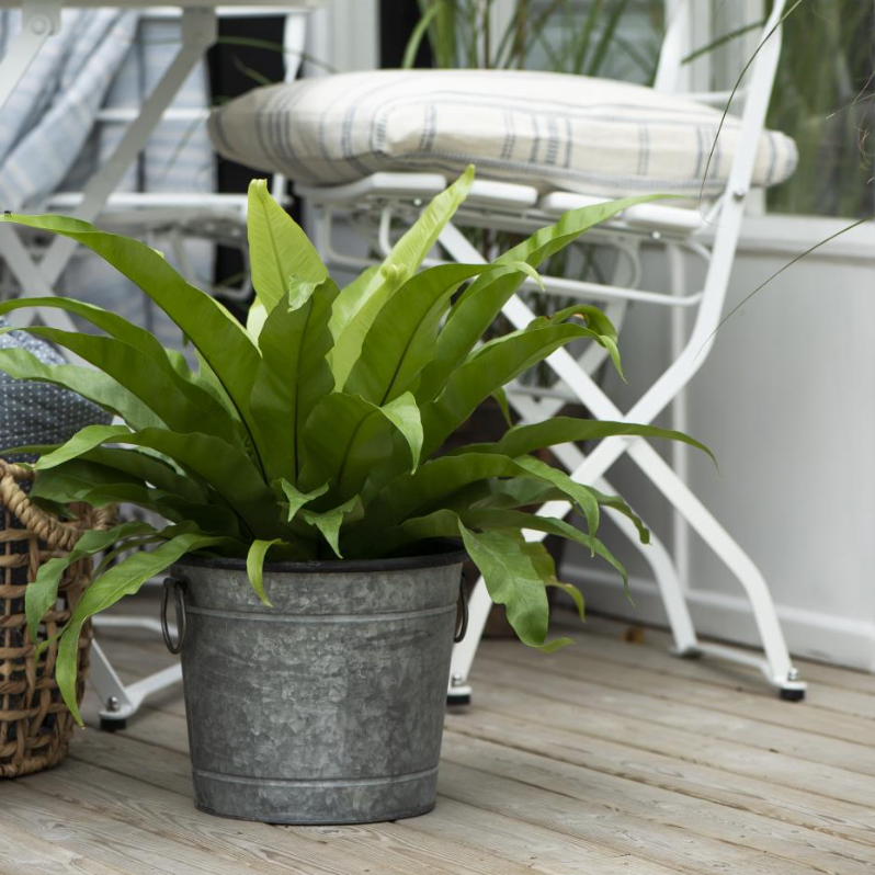 Metal Bucket Planter - Various Sizes