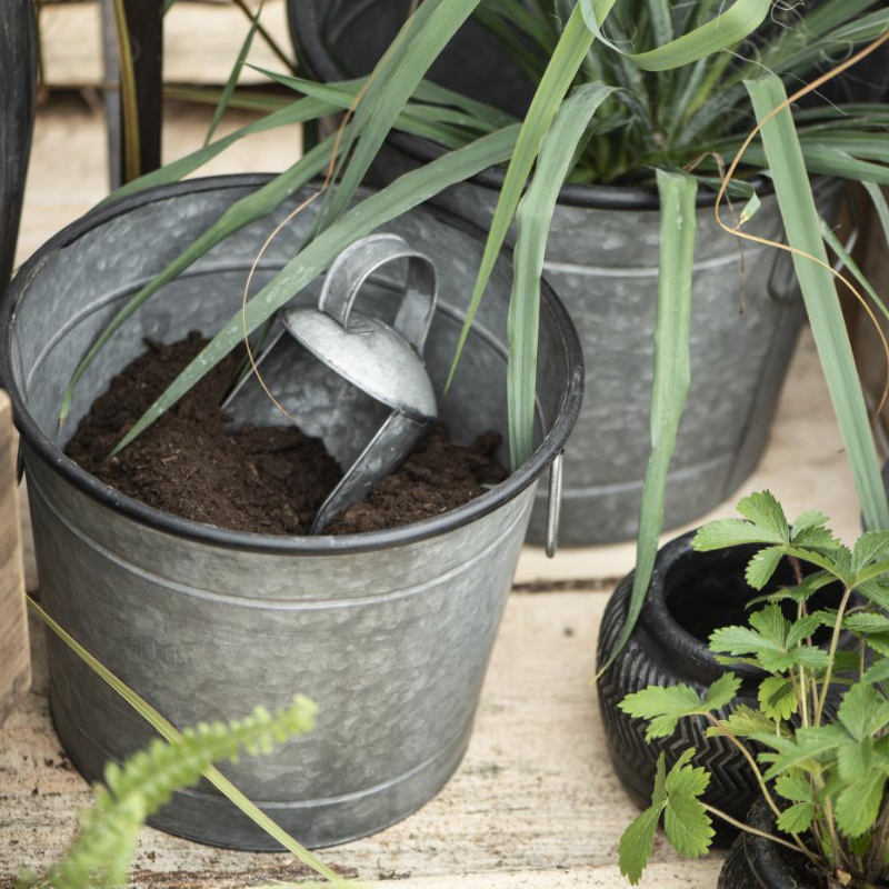 Metal Bucket Planter - Various Sizes