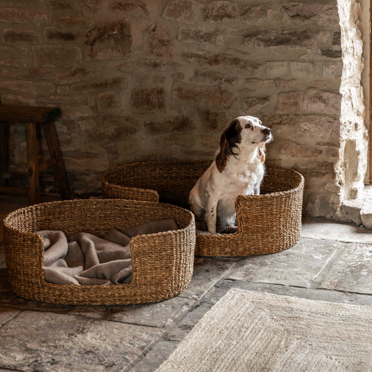 Set Of Two Seagrass Pet Beds