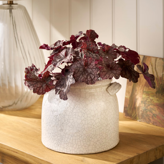 Ravello Ceramic Pot