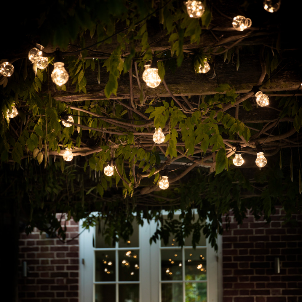 20 bulb festoon lights