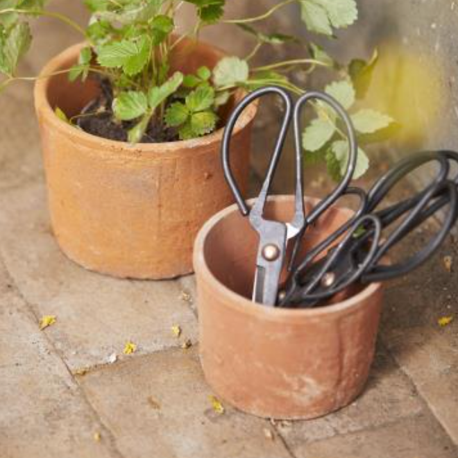 Cast Iron Utility Scissors