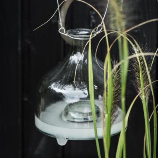 Hanging Glass Wasp Catcher