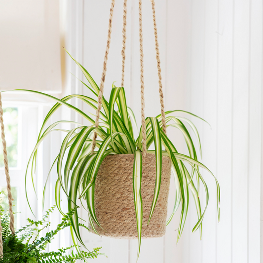 Jute Woven Hanging Plant Pot