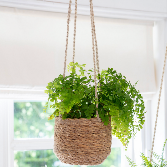 Seagrass Woven Hanging Planter