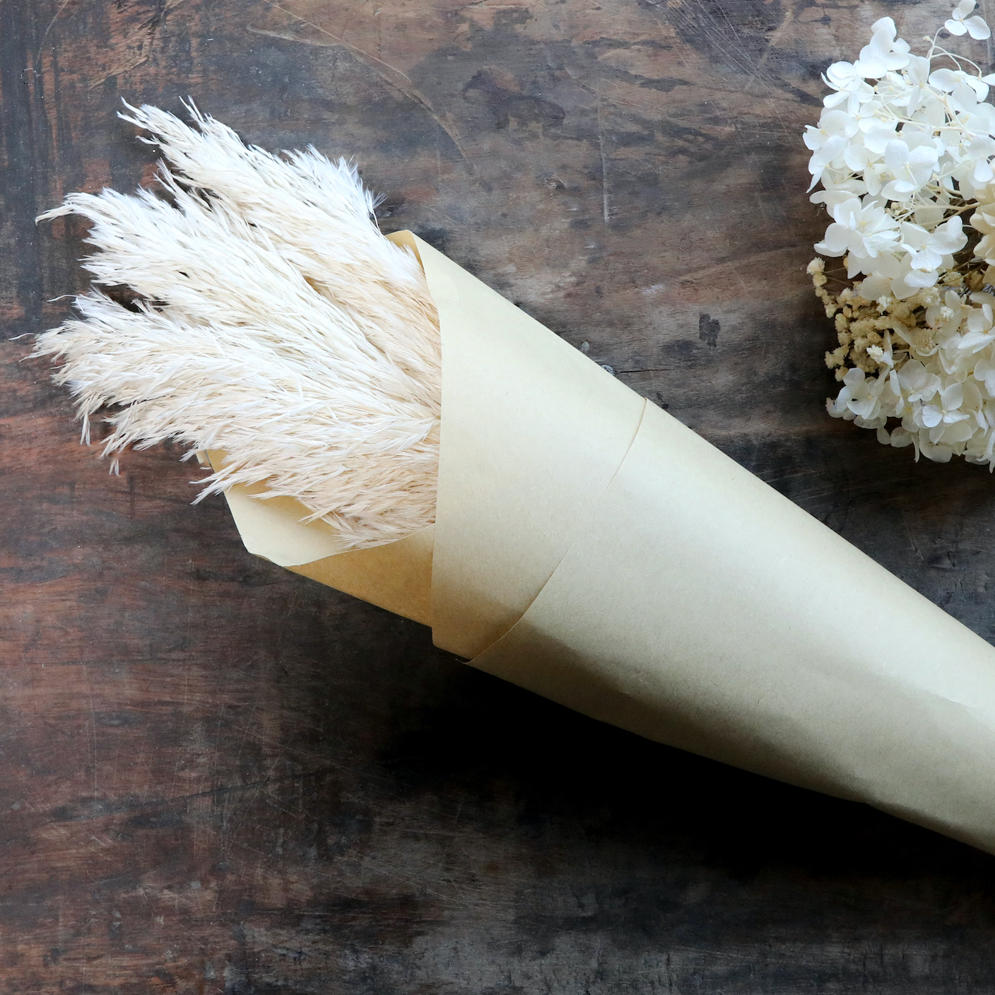 Dried Natural Feathered Pampas Grass