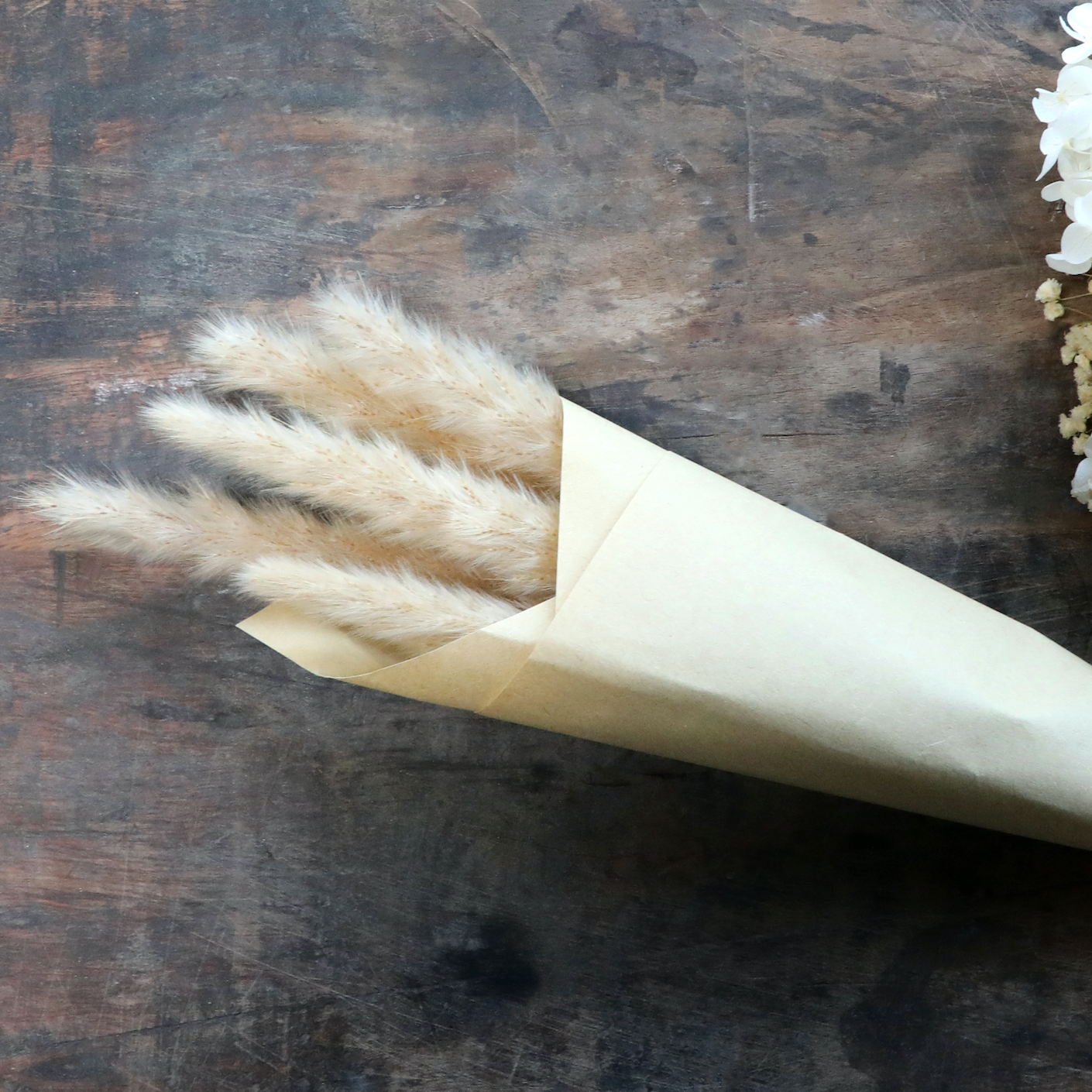 Dried Natural Pampas Grass