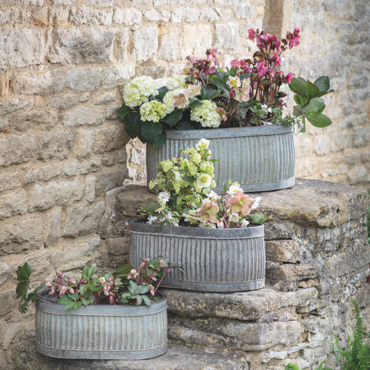 Set Of Three Oval Vence Trough Planters