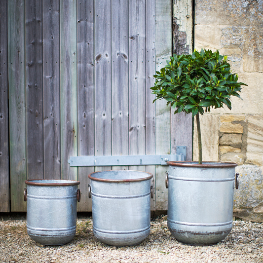 Set Of Three Malmesbury Metal Planters